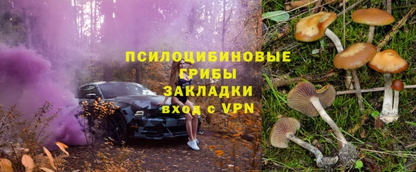 эйфоретик Ладушкин