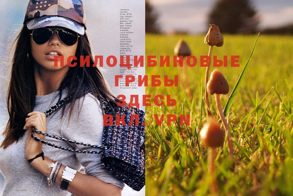дживик Абинск