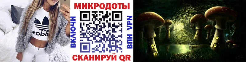 Псилоцибиновые грибы Psilocybe Агрыз